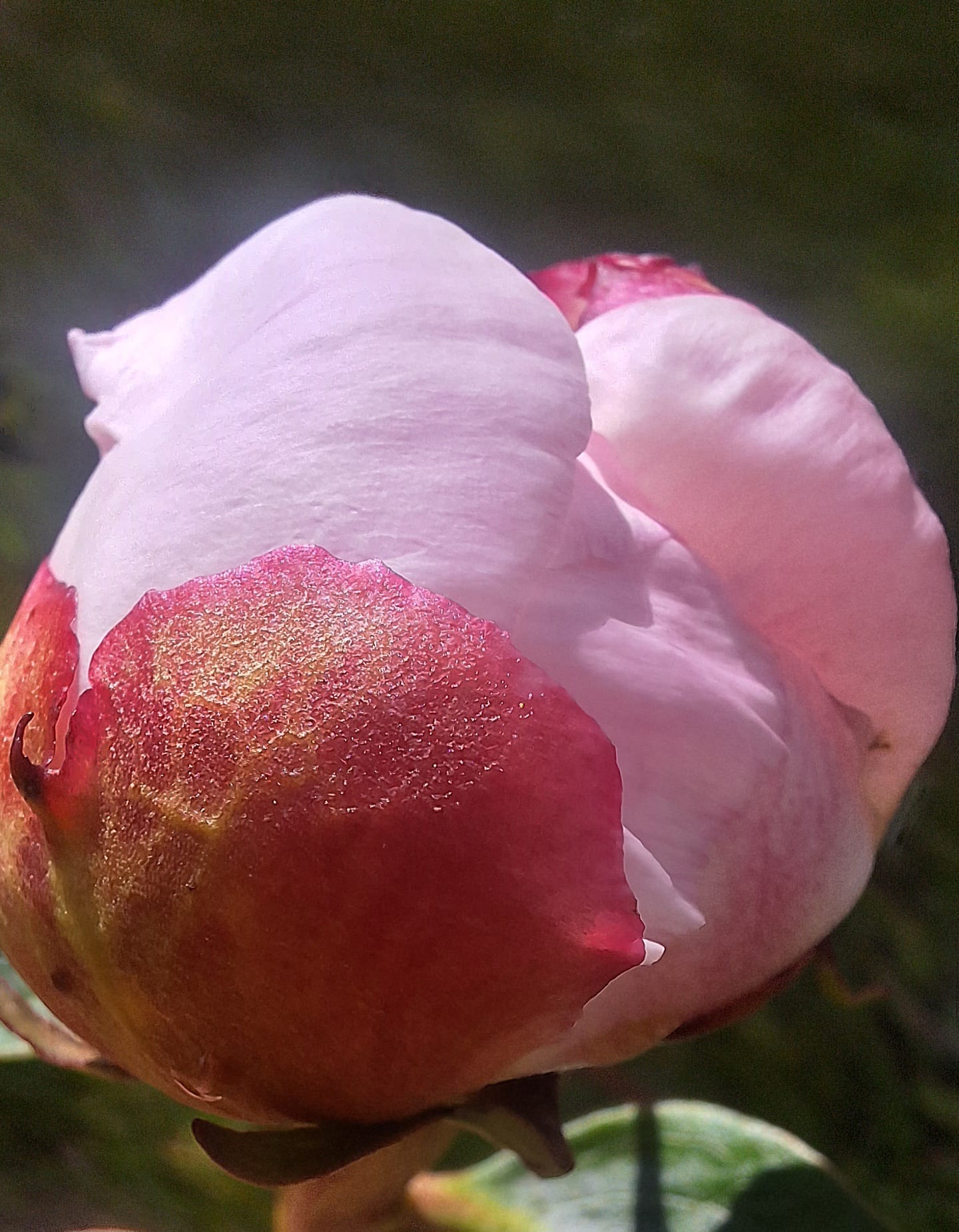 Therapie und Coaching